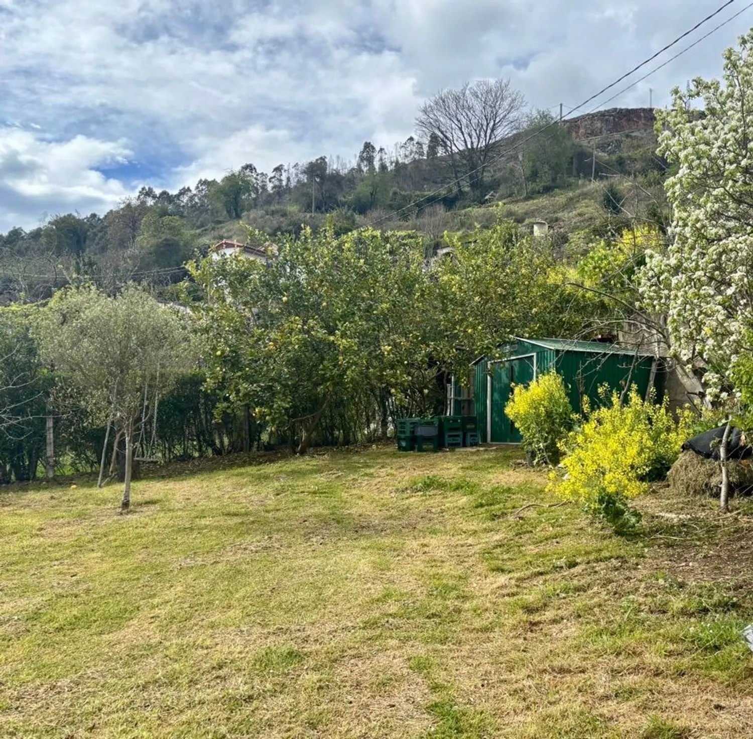 Casa en Oviedo — foto 2