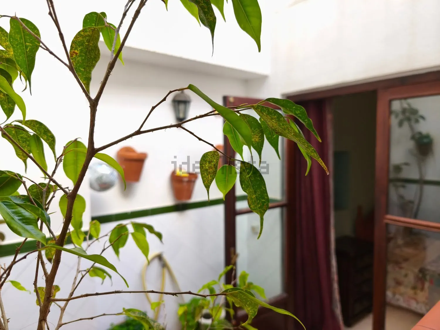 Chalet pareado en Sanlúcar de Barrameda — foto 36