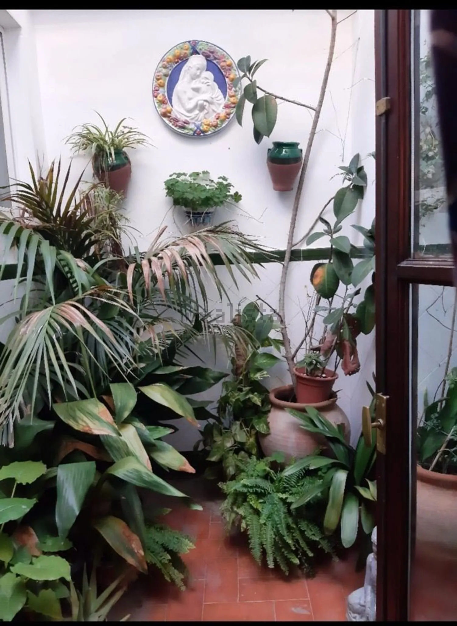 Chalet pareado en Sanlúcar de Barrameda — foto 48