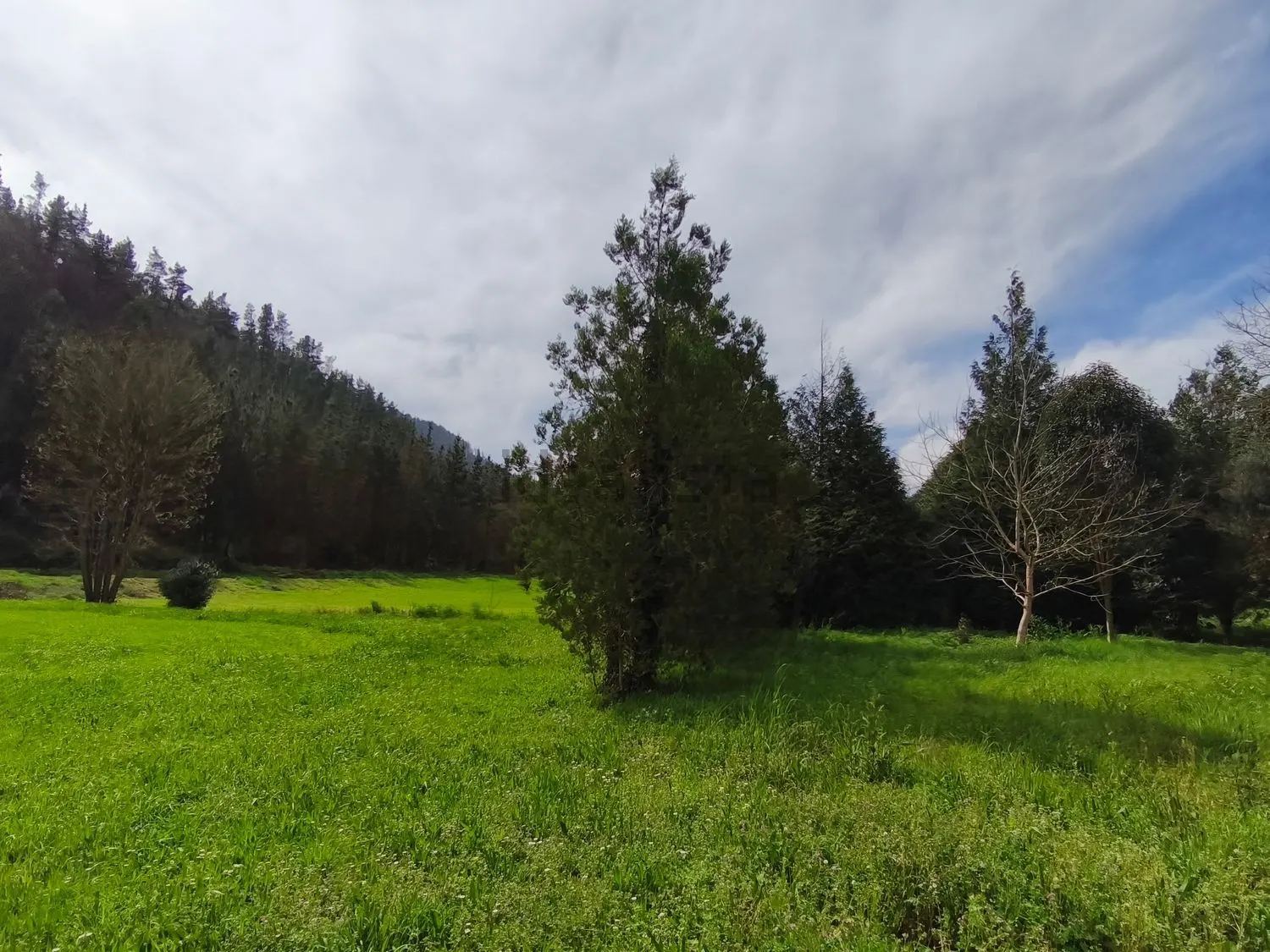 Chalet en Tineo — foto 18