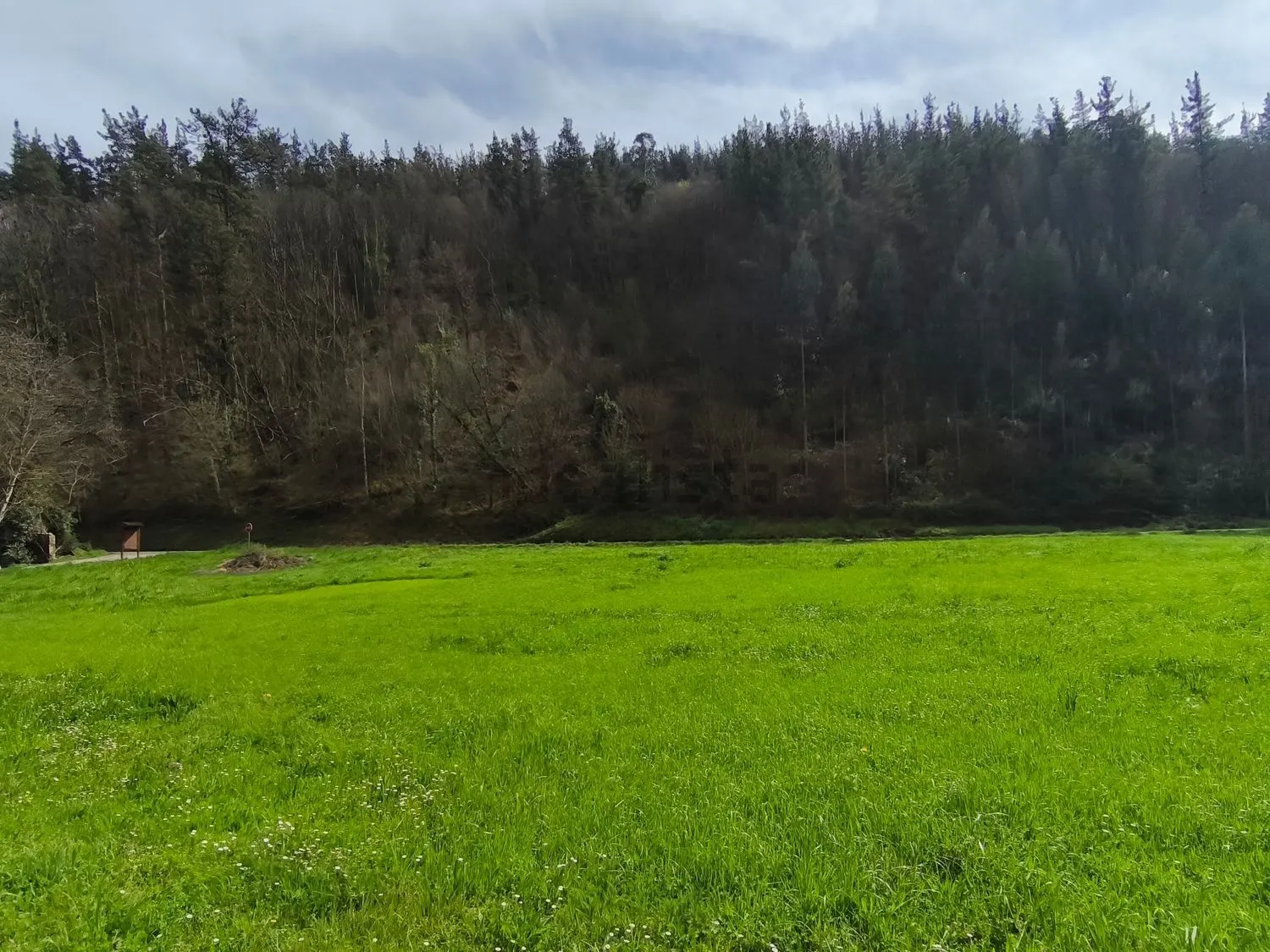 Chalet en Tineo — foto 19
