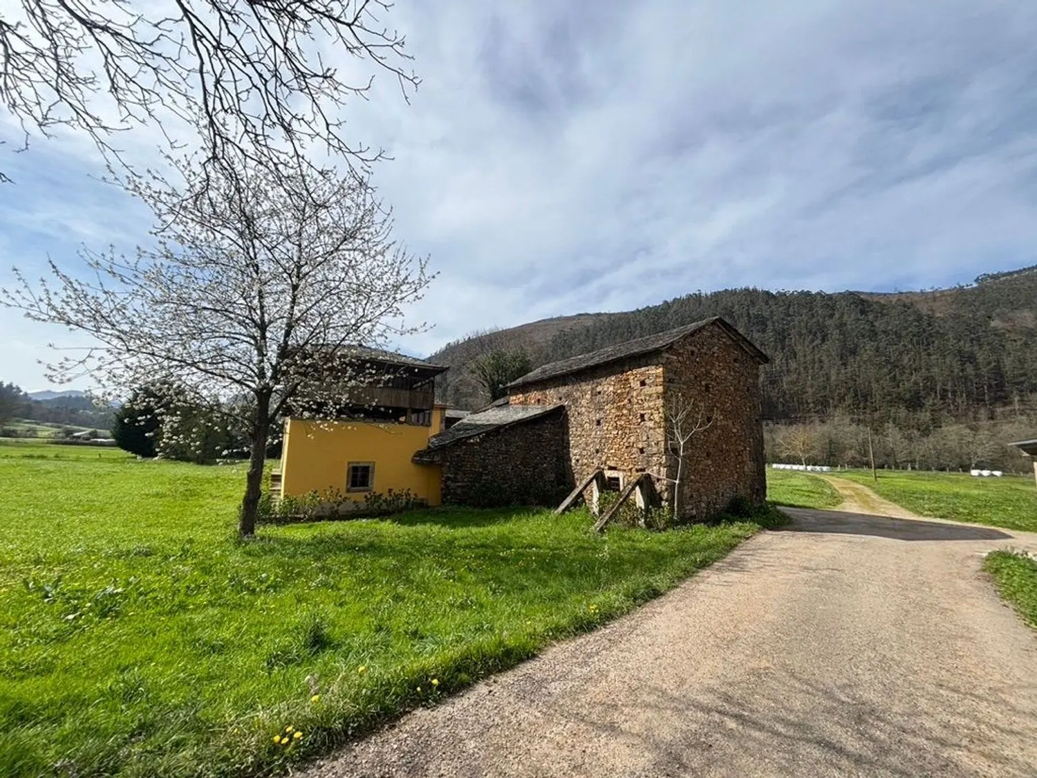 Chalet en Tineo — foto 22