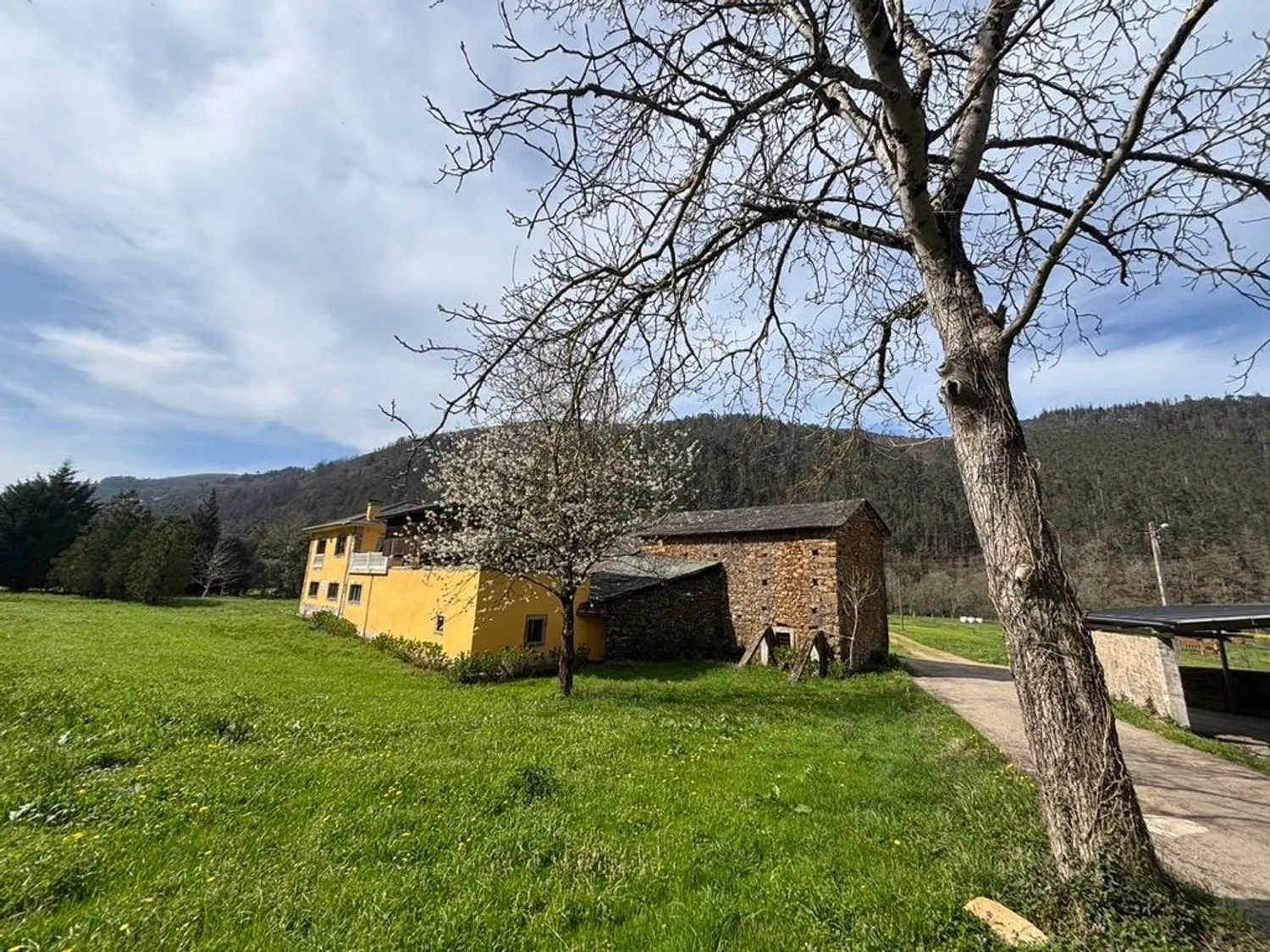 Chalet en Tineo — foto 28