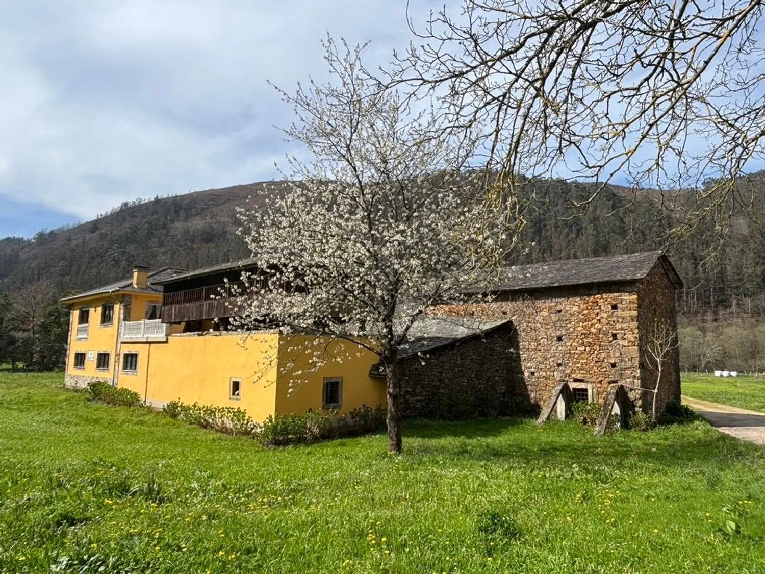 Chalet en Tineo